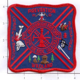 Alaska - Fort Wainwright 172nd Infantry Brigade Fire Dept Patch